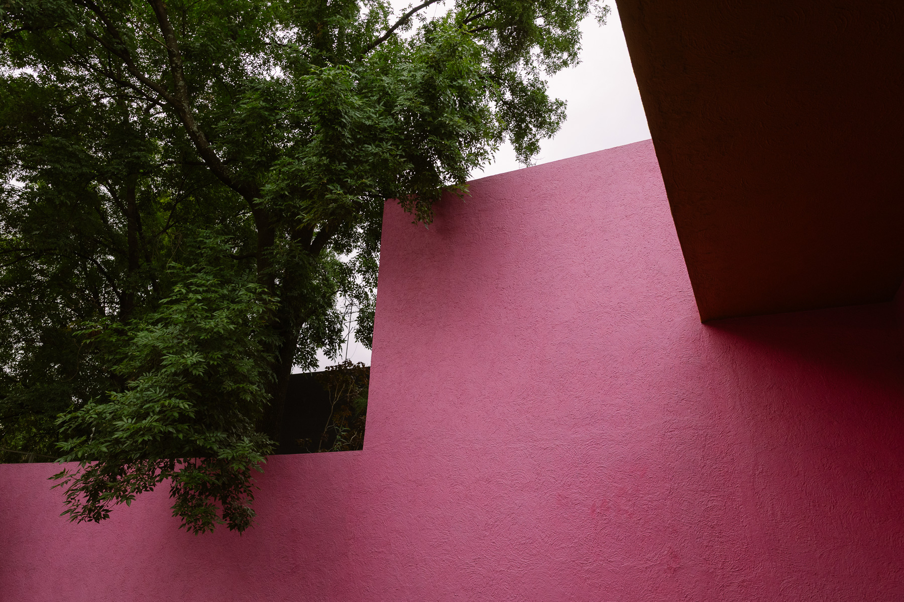 Pink courtyard wall against the trees